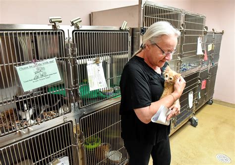 Tri-county humane society - CLOUD — The Tri-County Humane Society has housed — and found homes — for tens of thousands of animals who found their way to its 31-year-old shelter along U.S. Highway 10. On Monday, the ...